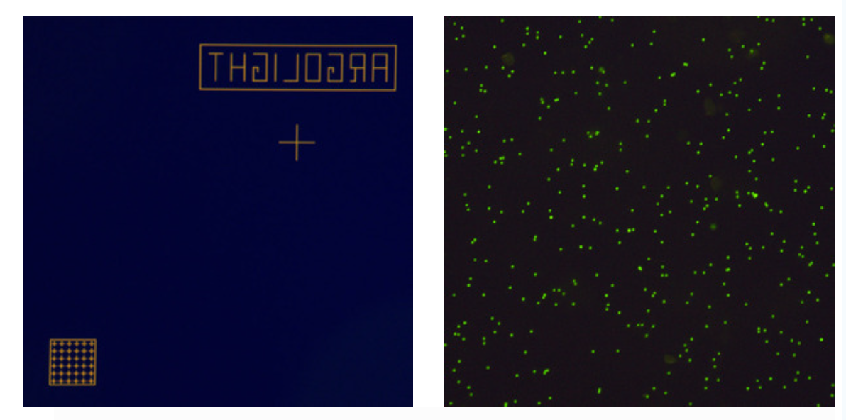 多通道荧光切换系统