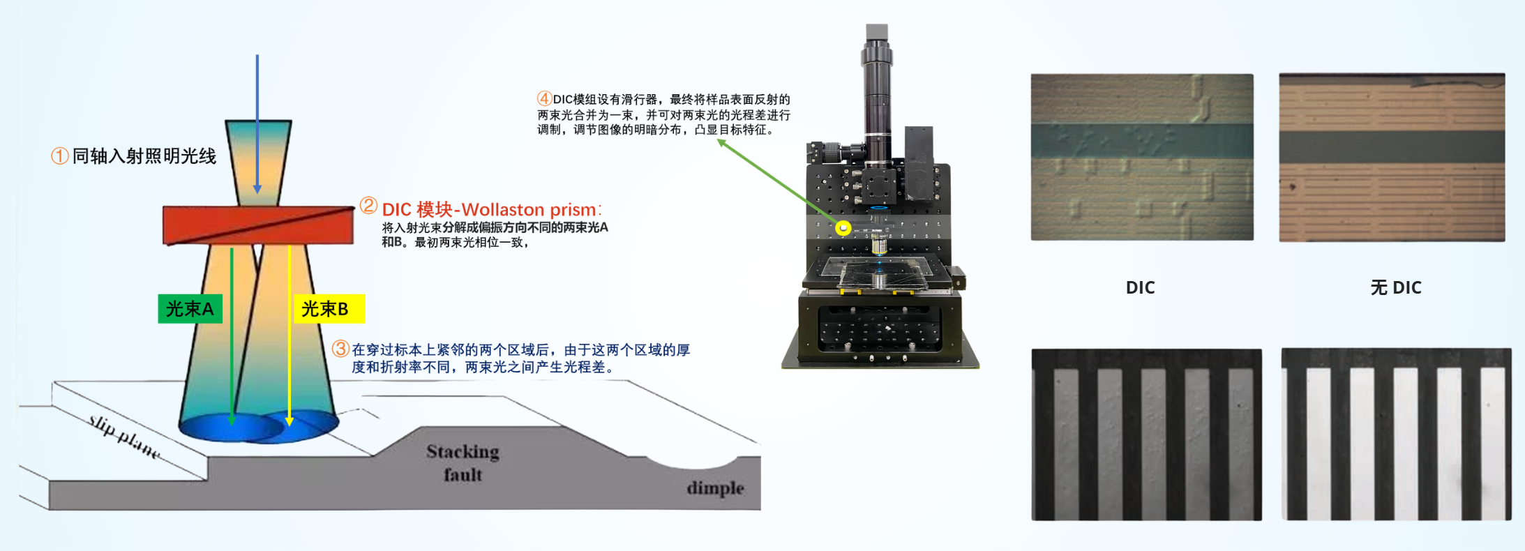 DIC成像原理示意图