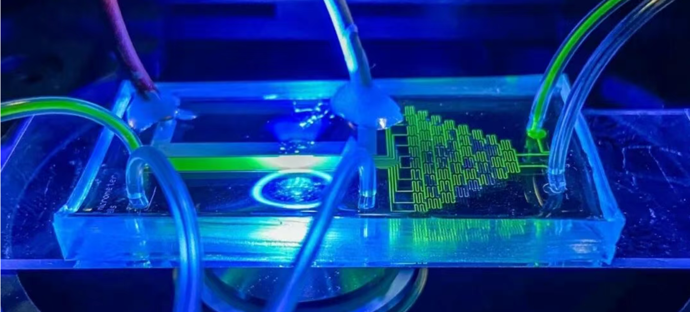 微流控成像示意图