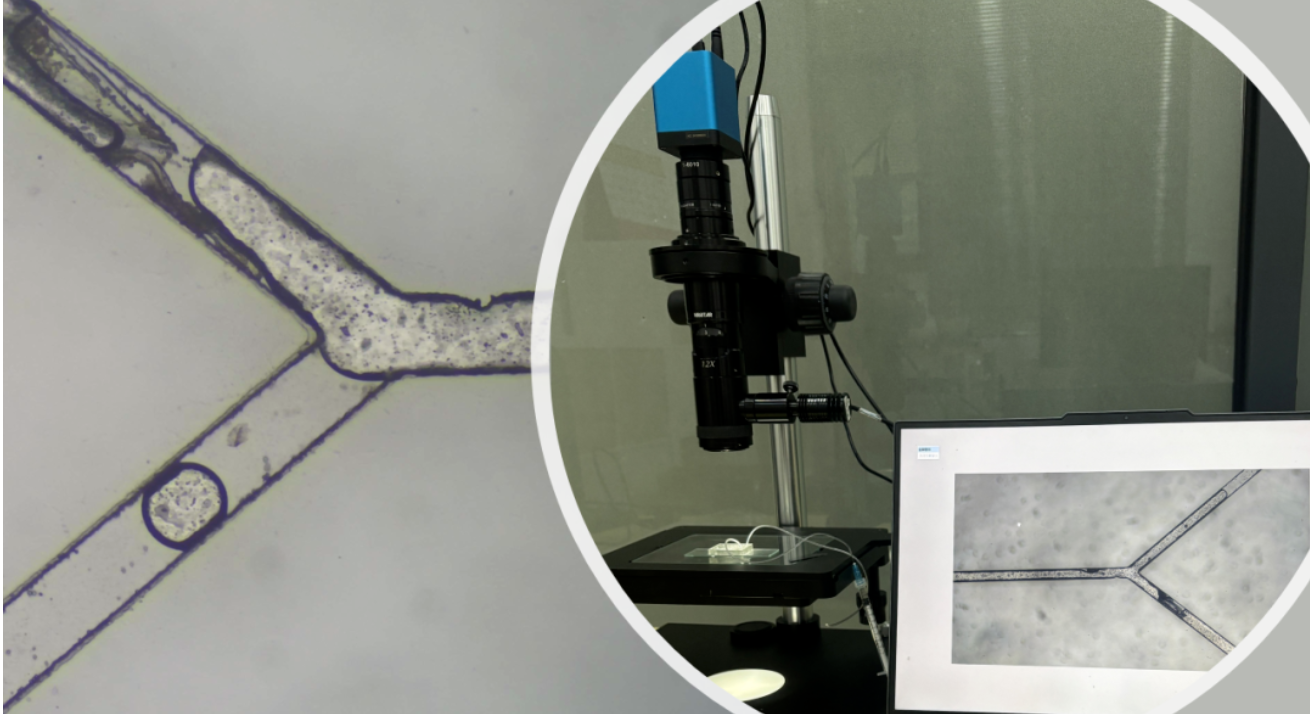 连续变倍光学系统