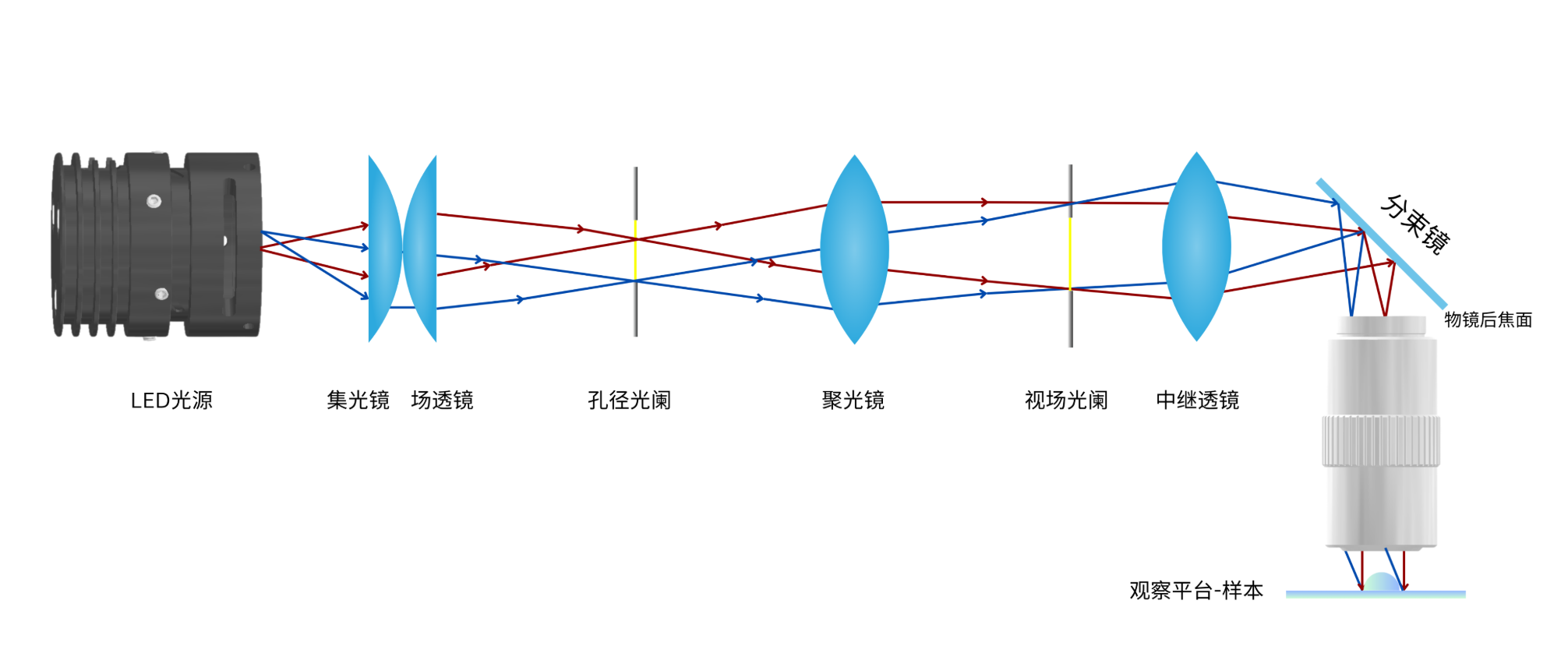 科勒照明光路结构