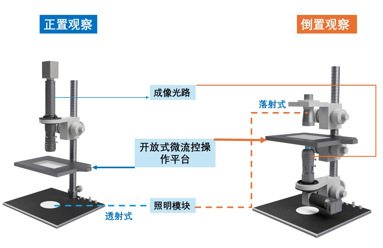开放架构
